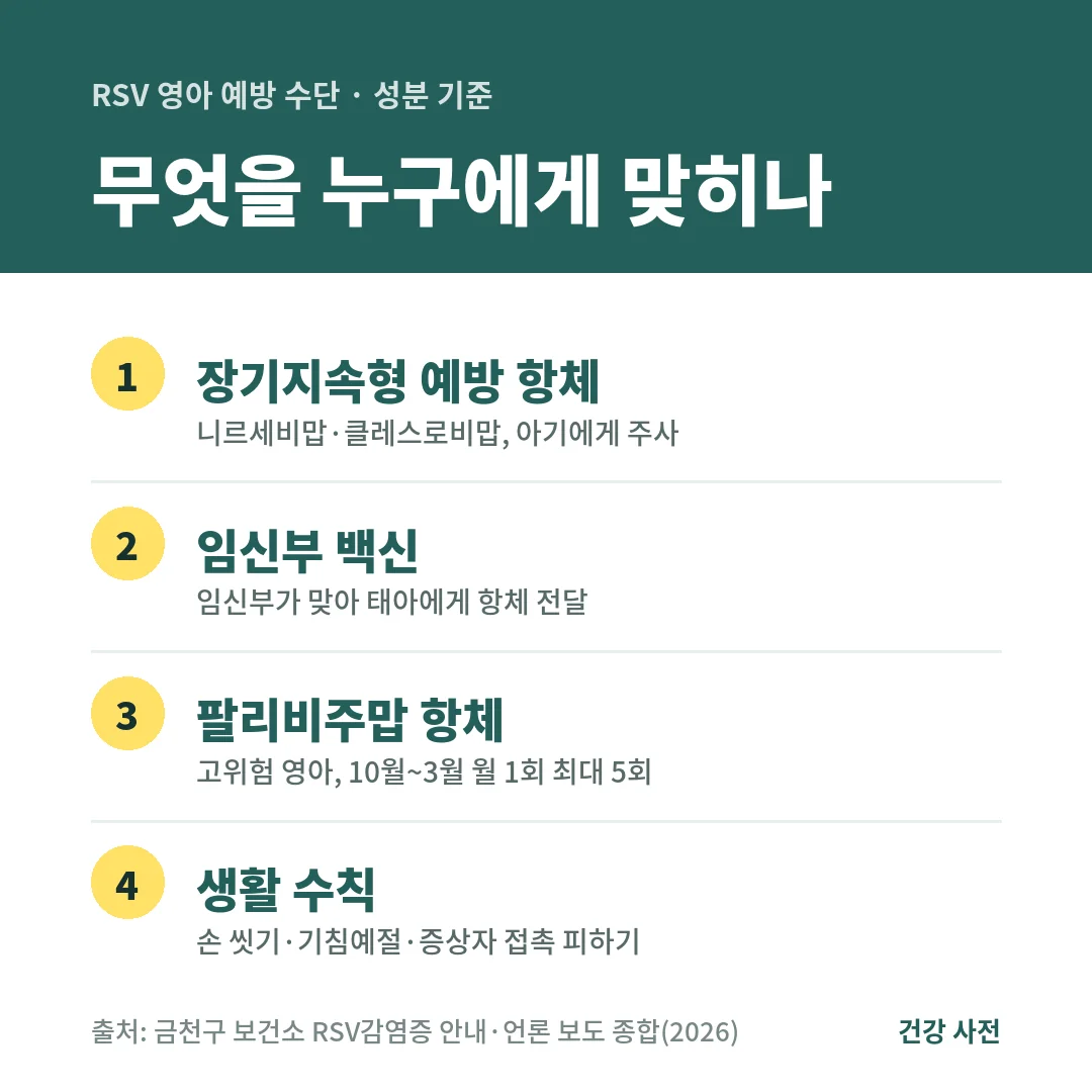 RSV 영아 예방 수단은 아기에게 맞히는 장기지속형 예방 항체, 임신부 백신, 고위험 영아 팔리비주맙 월 1회 최대 5회, 손 씻기 같은 생활 수칙입니다.